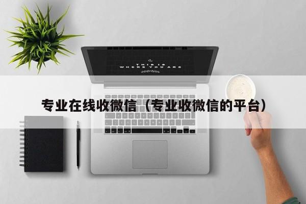 专业在线收微信（专业收微信的平台）